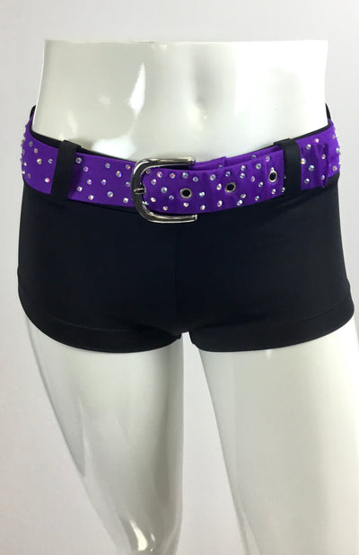 Sample Belt #2012